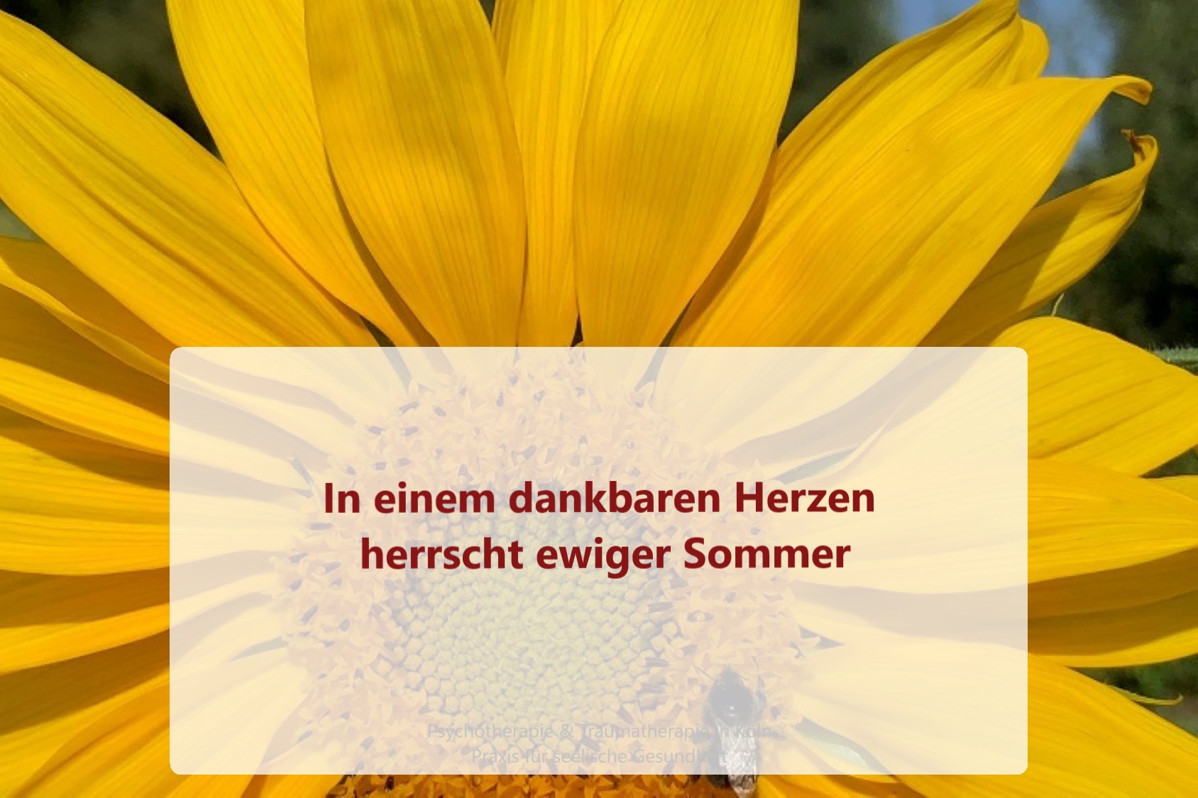 In einem dankbaren Herzen herrscht ewiger Sommer Traumatherapie Köln
